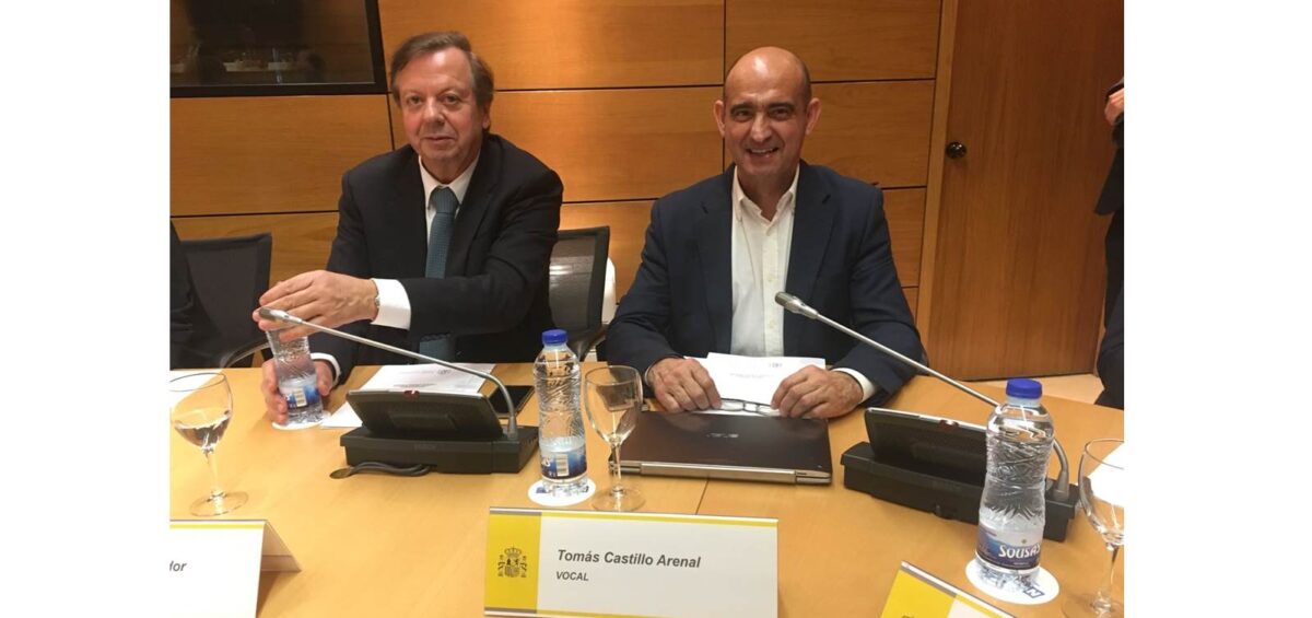 consejo Asesor Sanidad