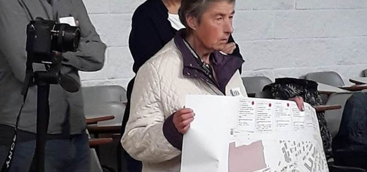 Presentando propuestas en el parque