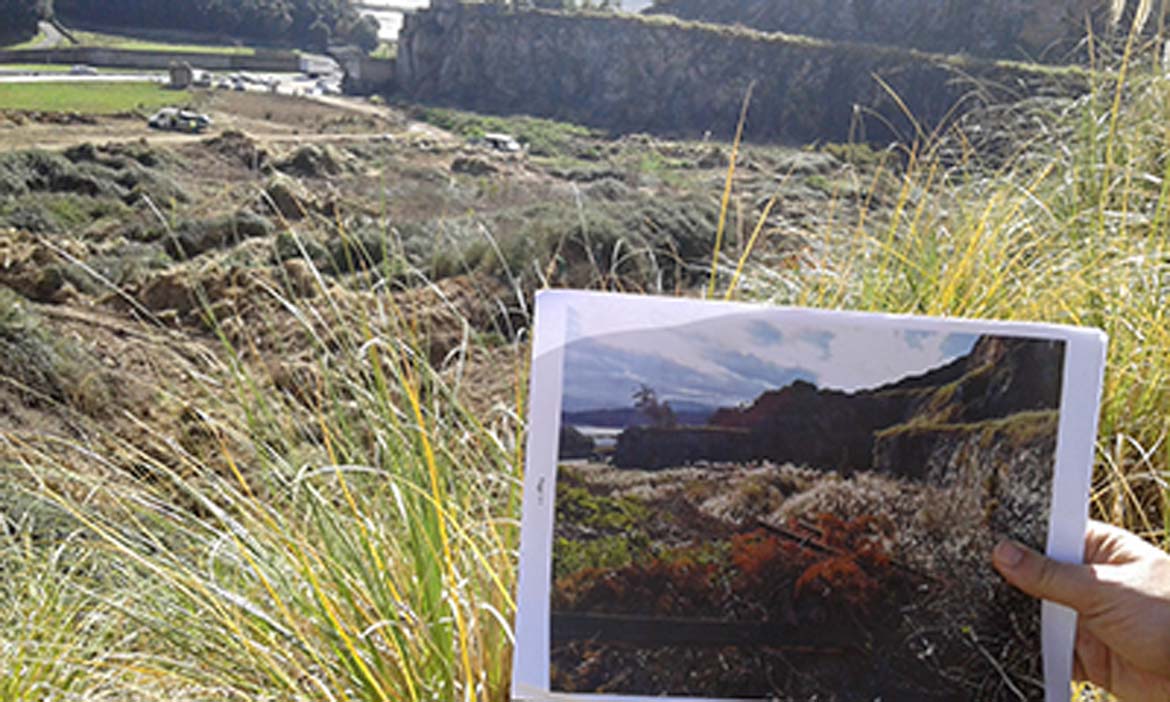 Reunión ejecutiva Proyecto LIFE Stop Cortaderia Nº 1