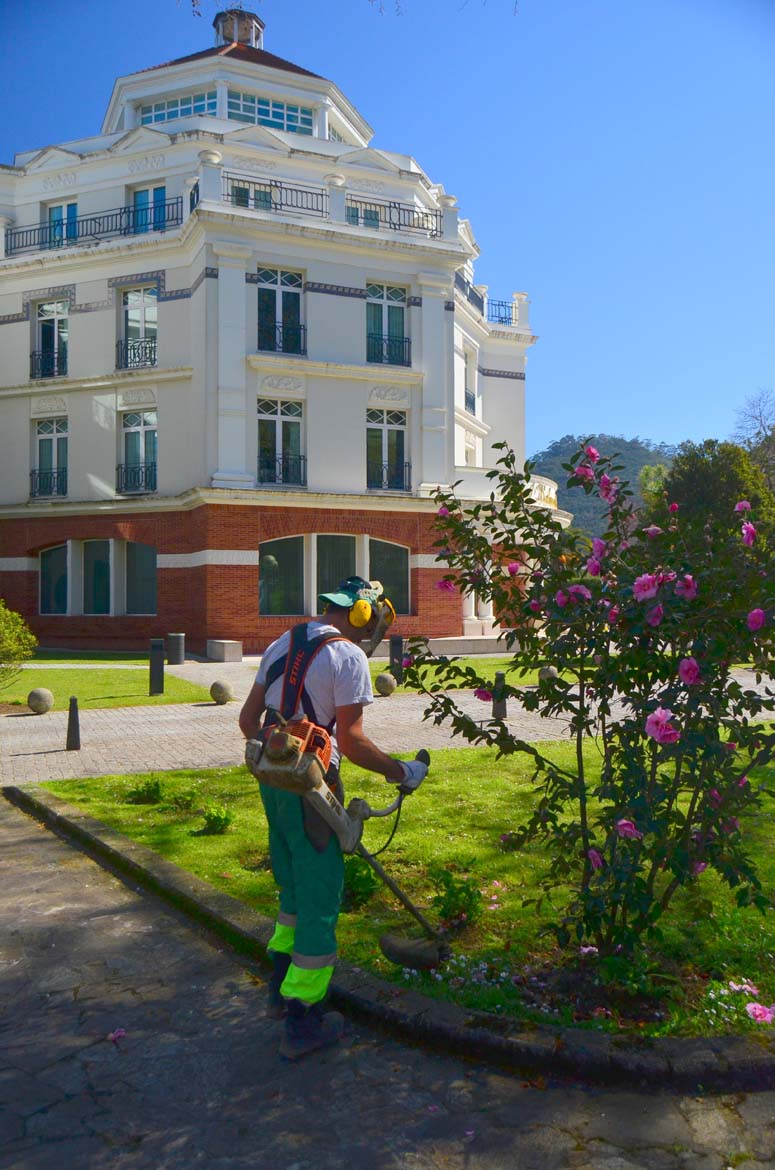 Mantenimiento de espacios verdes o jardinería para hostelería