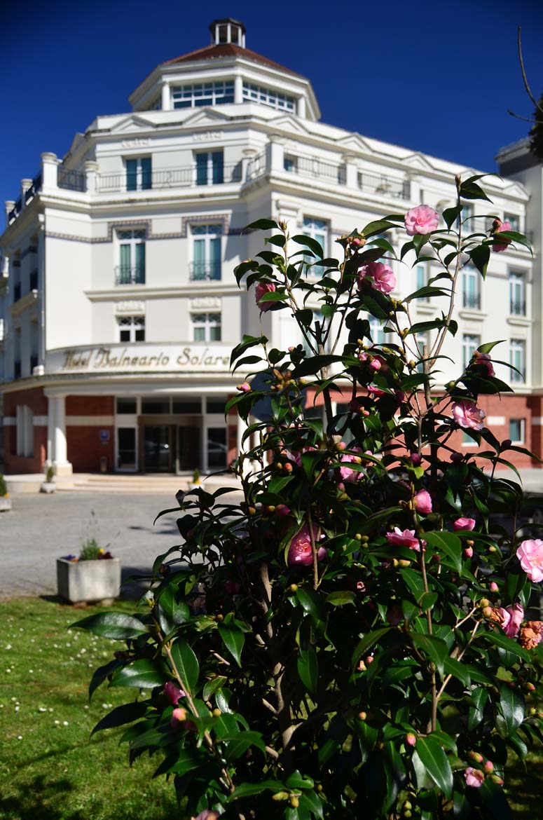Mantenimiento de espacios verdes o jardinería para hostelería