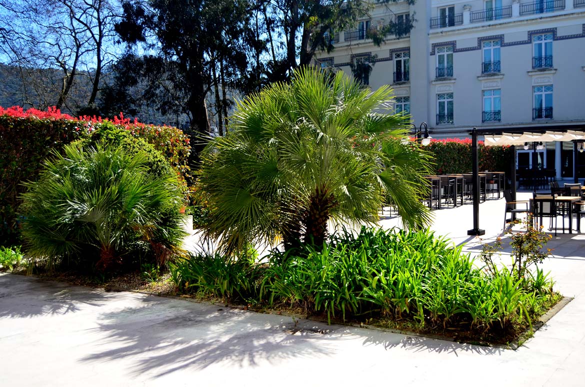 Mantenimiento de espacios verdes o jardinería para hostelería