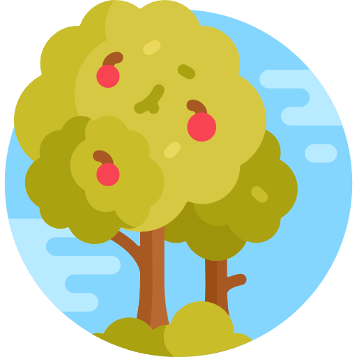 Mantenimiento de árboles frutales