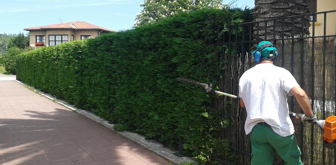 Mantenimiento de espacios verdes o jardinería