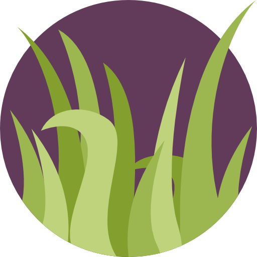 Desbroce y limpieza de fincas