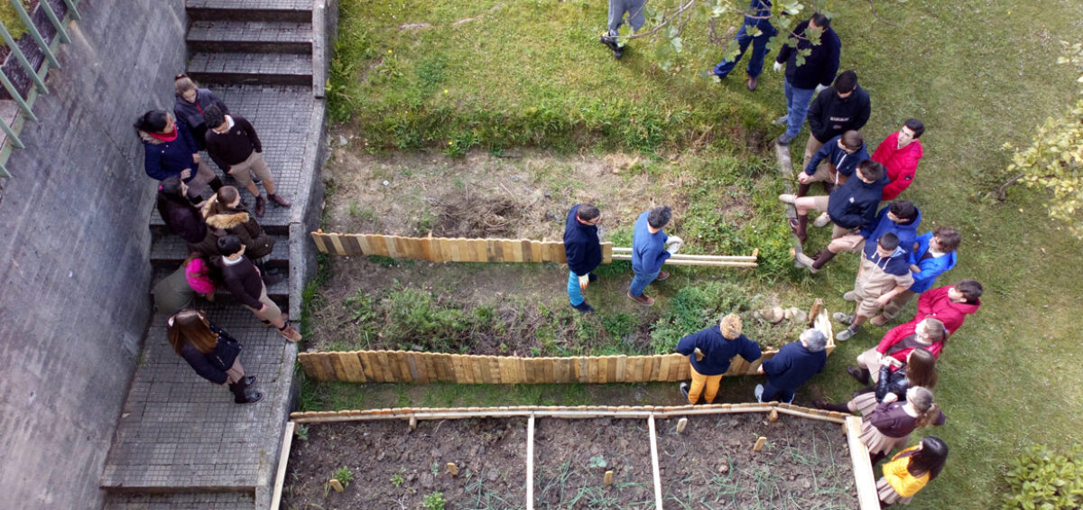 Seguimos con el proyecto "Te voy a llevar al huerto" con el colegio SSCC