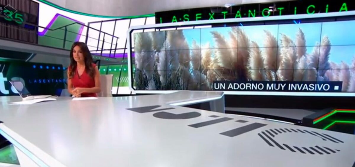 Reportaje del proyecto Life STOP Cortaderia en La Sexta