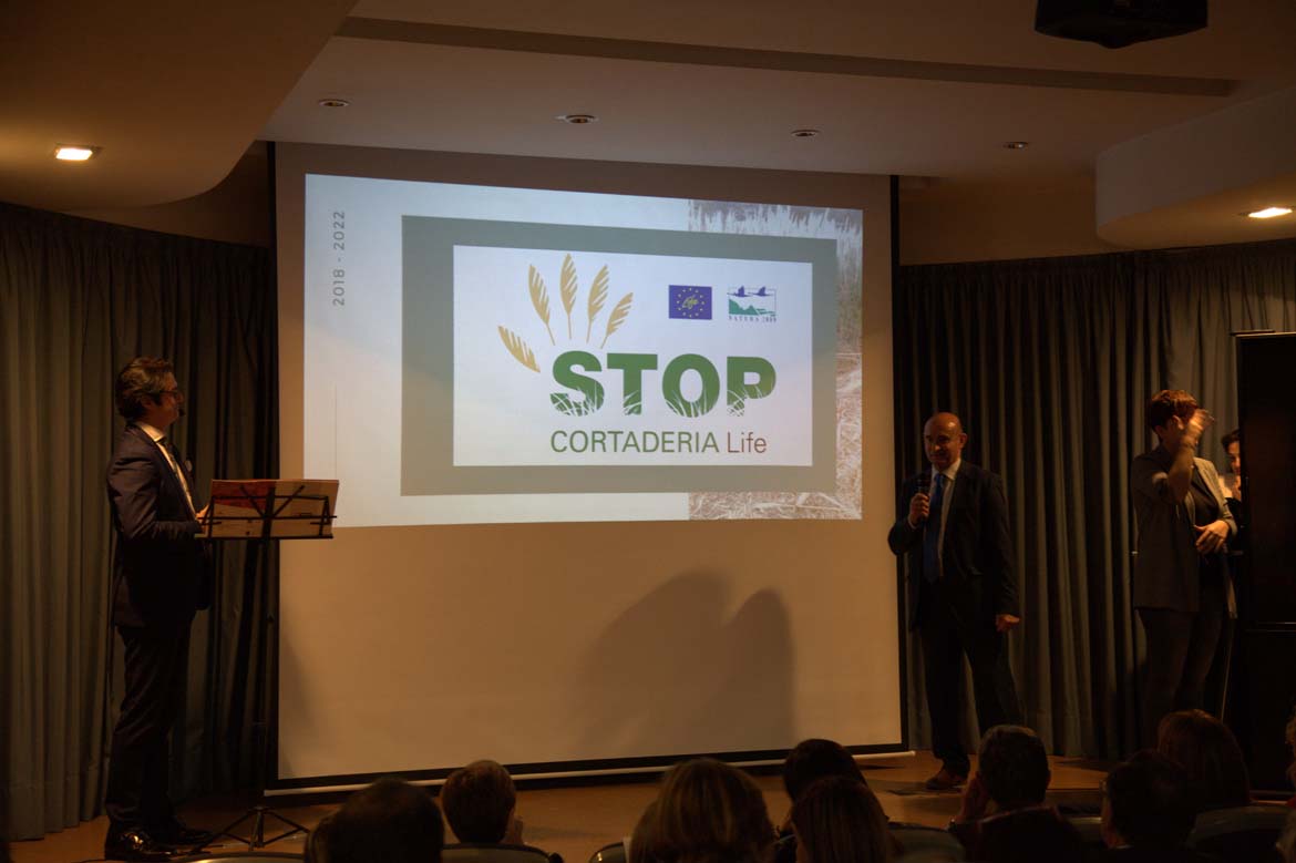 35 aniversario de amica