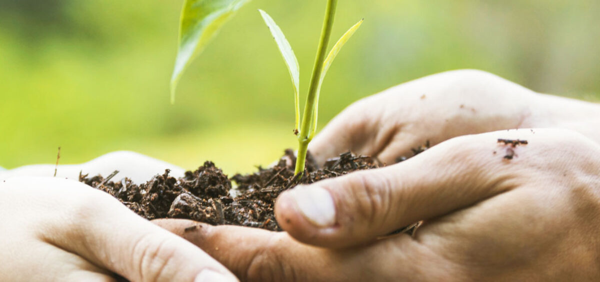 13 de septiembre Día Mundial del Legado Solidario