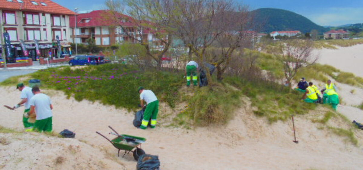 Trabajadores en el Parque Natural de las Marismas de Santoña, Victoria y Joyel.