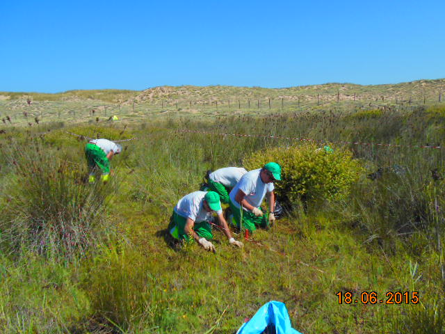 Trabajadores en el Parque Natural de las Dunas de Liencres.