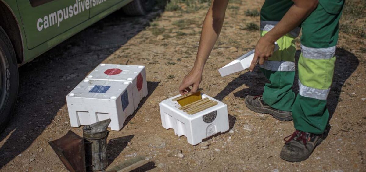 Agroecología y Tecnología para el desarrollo rural
