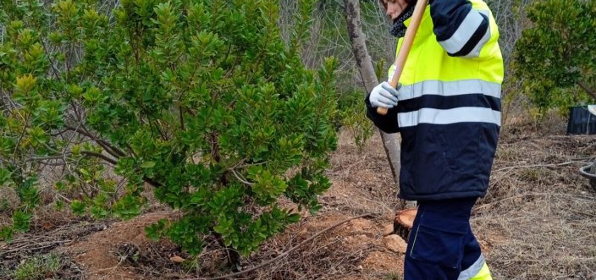 Mujer en las tareas agrícolas del programa uno a uno