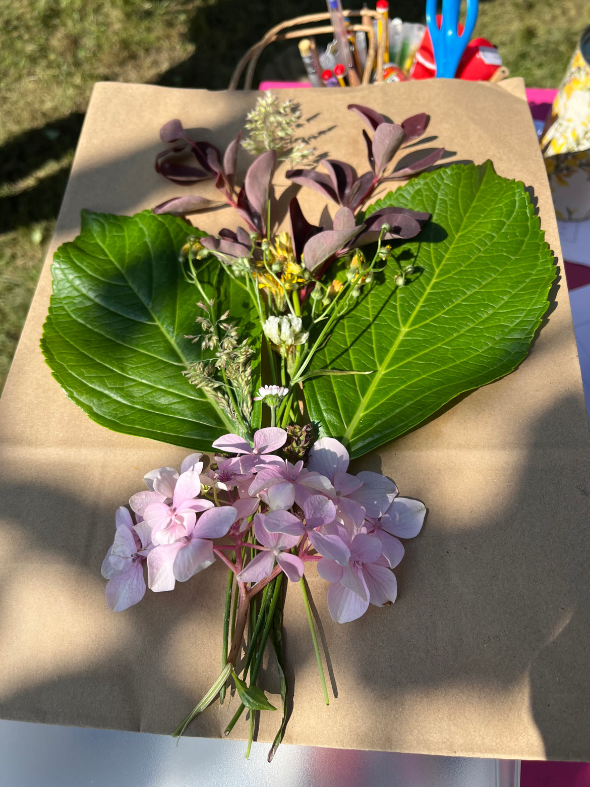 Amica potencia el bienestar cognitivo con el curso "Activando mi cerebro a través de la naturaleza"