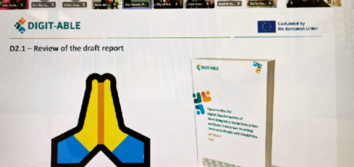 Imagen capturada de la reunión online del proyecto DIGIT-ABLE