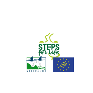 Logo Steps for life