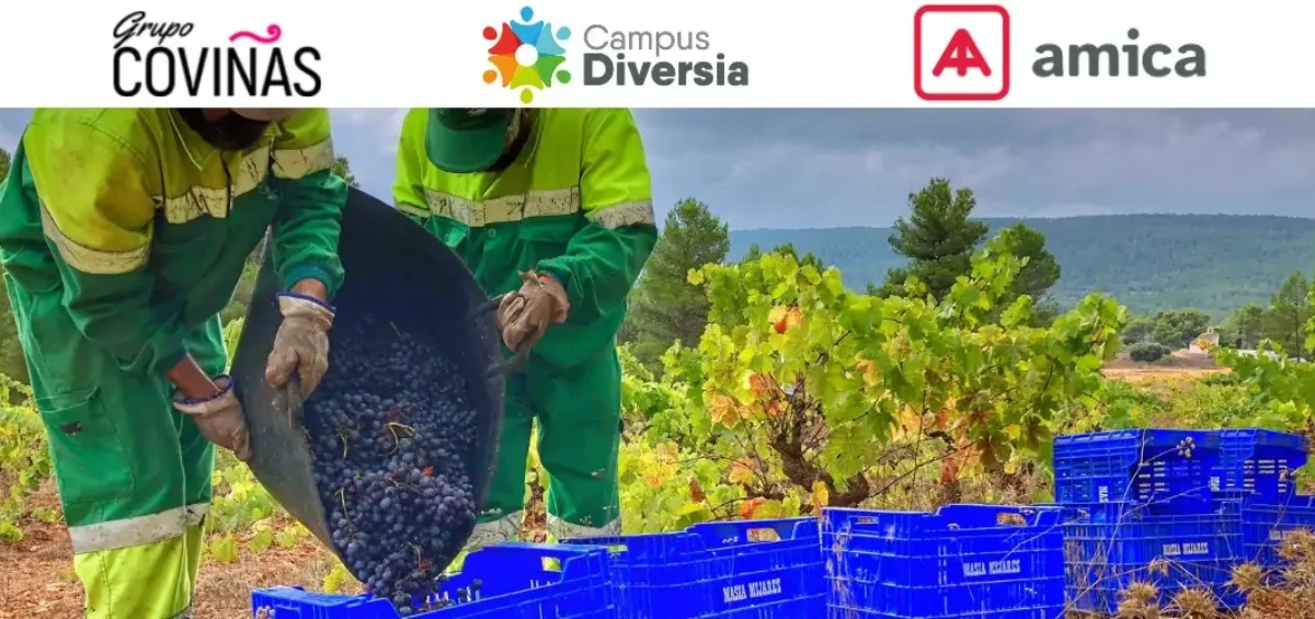 Trabajadores de campus diversia recolectando la uva