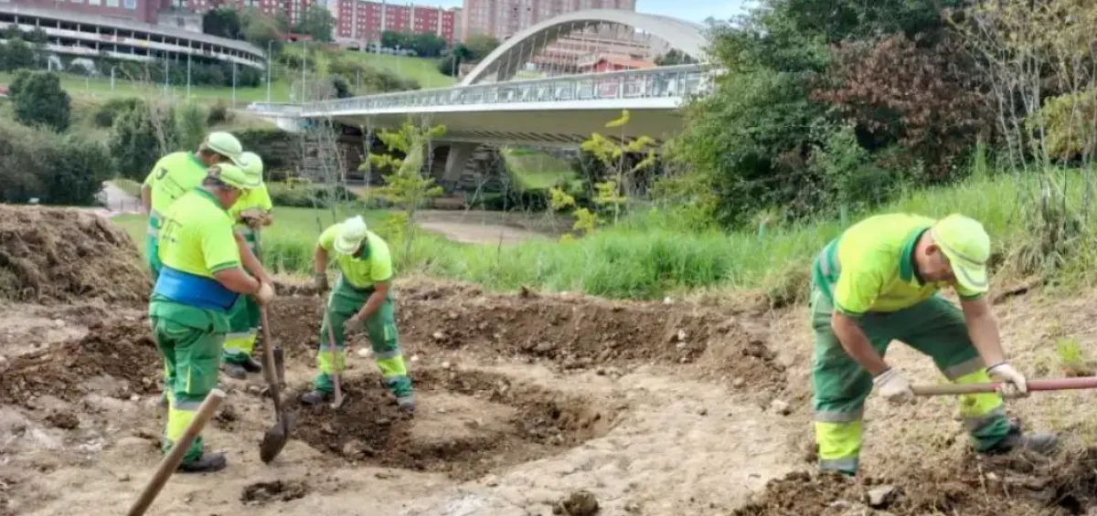 Finaliza Santander, Capital Natural con más de 37.000 árboles y 50 hectáreas restauradas